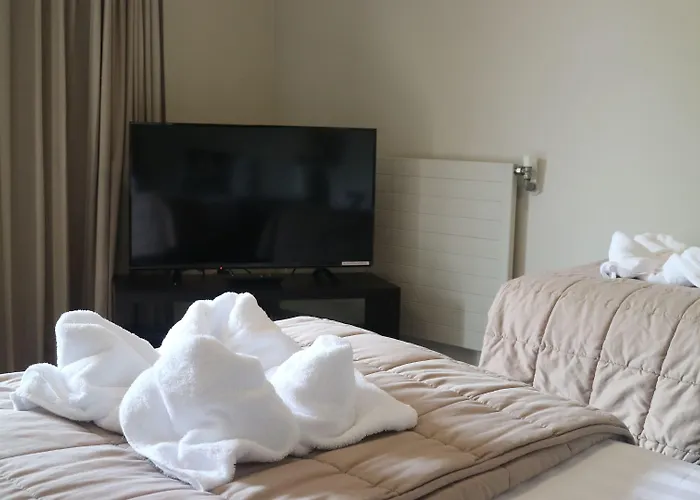 Executive On Fenton Motel Rotorua